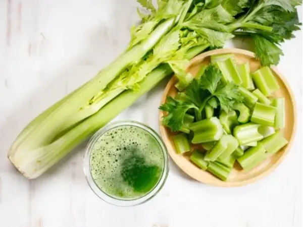 Can dogs have celery for weight loss