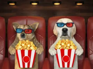 Why do dogs love popcorn