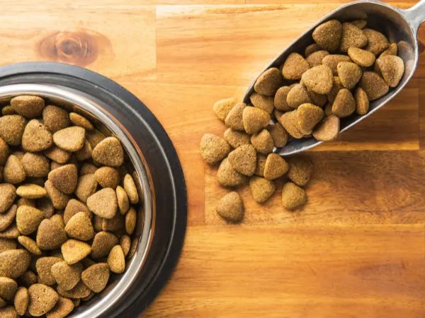 dry dog food for large dogs