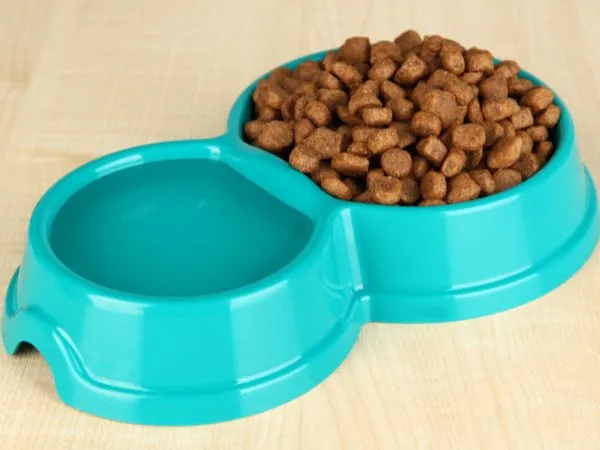 best dry dog food for sensitive stomach