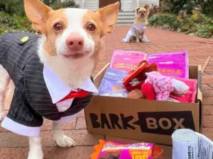 Best Dog Accessories_Barkbox Monthly Subscription Box