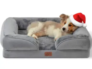 Best Dog Accessories_Bedsure orthopedic dog bed