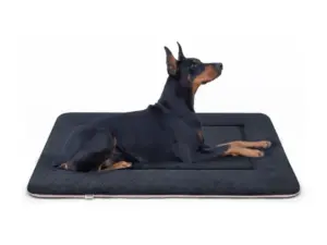 Best Dog Accessories_Hero Dog large dog crate pad