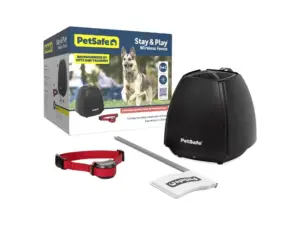 Best Dog Accessories_Petsafe stay and play wireless pet fence