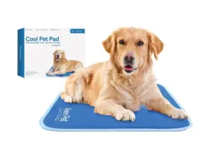Best Dog Accessories_The green pet shop dog cooling mat