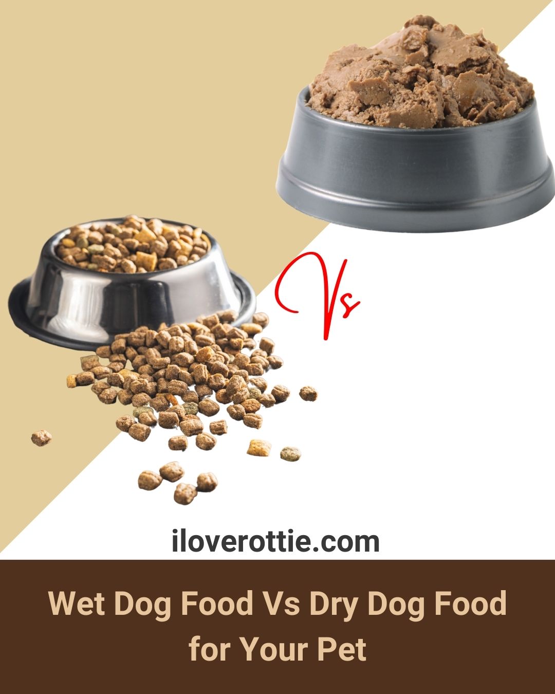 Wet Dog Food Vs Dry Dog Food for Your Pet I Love Rottie